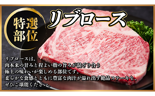 é£éššçããªãããŒã¹ã¹ããŒããçŽ800gãé
éäžå¯å°åïŒé¢å³¶ãã1530700ã