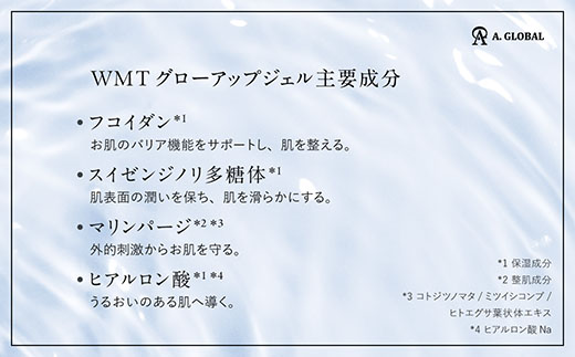 WMT GLOW UP GEL　(美容 スキンケア)【1705045】