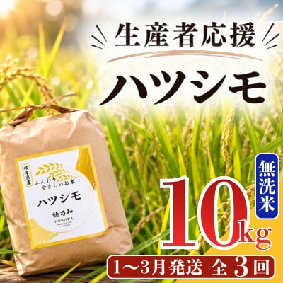 【発送月固定定期便】【先行予約】生産者応援!岐阜県産ハツシモ(無洗米)10kg【1〜3月】全3回【配送不可地域：離島】【4089359】