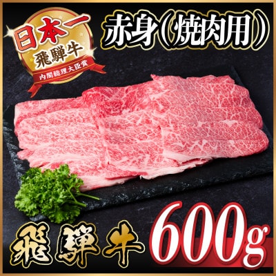 飛騨牛 赤身(焼肉用)600g【配送不可地域：離島】【1543753】