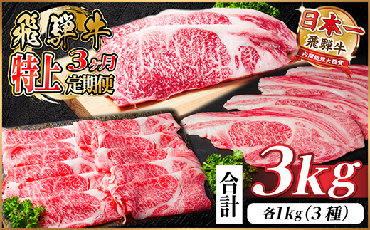 【毎月定期便】飛騨牛 特上定期便 計3kg全3回　小分け【配送不可地域：離島】【4057132】