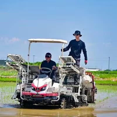 【毎月定期便】岐阜県産ハツシモ(無洗米) 10kg全4回【配送不可地域：離島】【4076350】