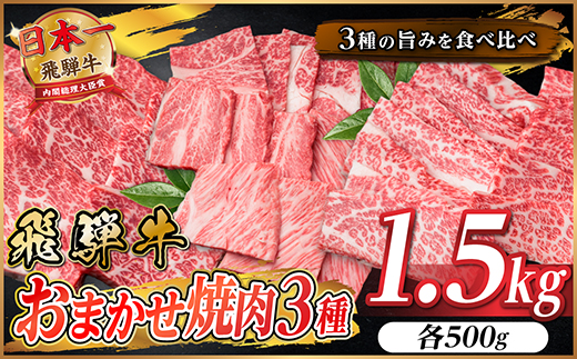 飛騨牛　おまかせ焼肉3種セット1.5kg(各約500g)訳あり　BBQ　上カルビ・ロースなど【配送不可地域：離島】【1739042】