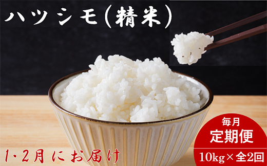 【発送月固定定期便】生産者応援!岐阜県産ハツシモ(精米)10kg【1・2月発送】全2回【配送不可地域：離島】【4073155】