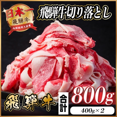 飛騨牛 切り落とし 約800g(約400g×2パック)【冷蔵便】【配送不可地域：離島】【1544083】