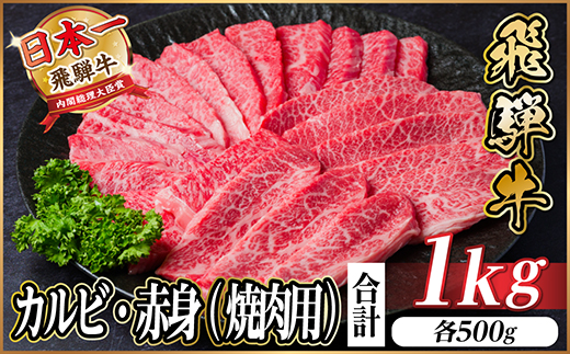 飛騨牛 厳選カルビ・赤身(焼肉・BBQ用) 1kg(各500g)　黒毛和牛　小分け　A4〜A5等級【配送不可地域：離島】【1543764】