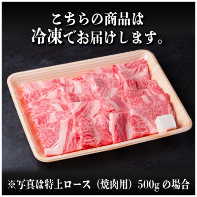 飛騨牛 特上ロース 焼肉 1kg(500g×2)【配送不可地域：離島】【1543793】