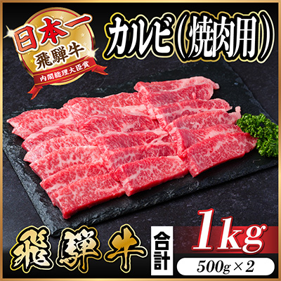 飛騨牛　カルビ　焼肉　1kg【配送不可地域：離島】【1487353】