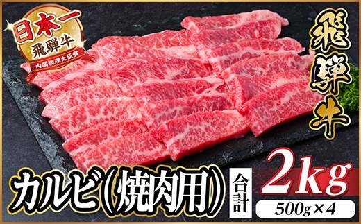 飛騨牛 厳選カルビ(焼肉・BBQ用) 2kg(500g×4)　黒毛和牛　小分け　A4〜A5等級【配送不可地域：離島】【1543786】