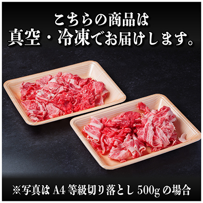 【年内発送】飛騨牛　A4等級　切り落とし　1.2kg【配送不可地域：離島】【1487292】