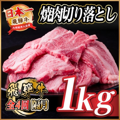 【2ヵ月毎定期便】飛騨牛 焼肉切り落とし 約1kg(約500g×2)タレ付き 訳あり全4回【配送不可地域：離島】【4084214】
