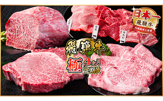 【毎月定期便】飛騨牛 極定期便 計2.2kg【冷蔵便】A4〜A5等級 シャトーブリアンほか 全4回【配送不可地域：離島】【4055509】