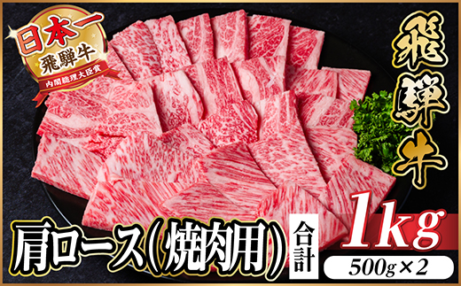 飛騨牛　厳選肩ロース(焼肉・BBQ用) 1kg(500g×2)　黒毛和牛　小分け【配送不可地域：離島】【1487296】