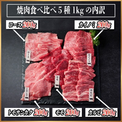 飛騨牛　焼肉厳選5種食べ比べセット(カルビ・トモサンカク・モモ・ロース・カイノミ)約1kg　タレ付き【配送不可地域：離島】【1532671】