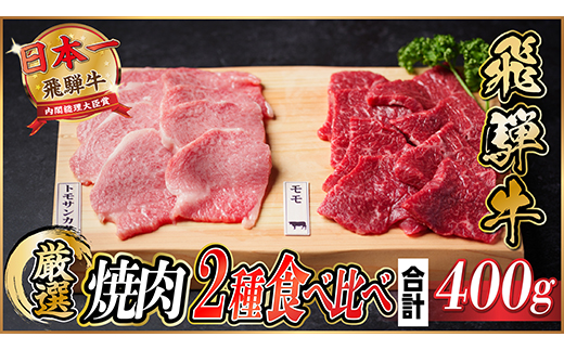 飛騨牛　トモサンカク・モモ焼肉　約400g(各約200g)【配送不可地域：離島】【1531166】