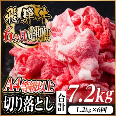 【毎月定期便】飛騨牛 厳選切り落とし 計7.2kg全6回　小分け【配送不可地域：離島】【4055983】
