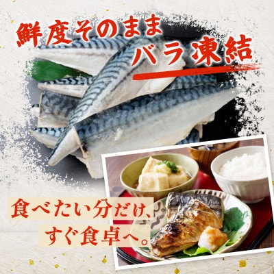 縲占ィウ縺ゅj縲代ヮ繝ォ繧ヲ繧ァ繝シ逕」縲蝪ゥ縺輔ー縲繝輔ぅ繝ャ縲邏5kg縲宣埼∽ク榊庄蝨ー蝓滂シ夐屬蟲カ縲代1697928縲