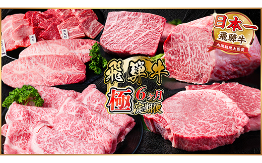 【毎月定期便】飛騨牛 極定期便 計3.4kg【冷蔵便】A4〜A5等級 シャトーブリアンほか 全6回【配送不可地域：離島】【4055510】