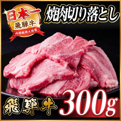 飛騨牛 焼肉切り落とし 約300g タレ付き 訳あり【冷蔵便】A4〜A5等級 黒毛和牛【配送不可地域：離島】【1721947】