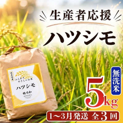 【発送月固定定期便】【先行予約】生産者応援!岐阜県産ハツシモ(無洗米)5kg【1〜3月発送】全3回【配送不可地域：離島】【4073731】