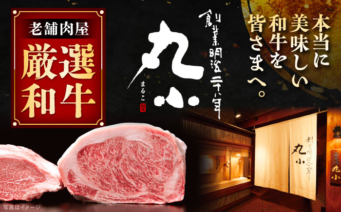 丸小本店 老舗肉屋厳選　行列のできるキッチントーキョーのビーフシチュー 1人前（250g）×5個セット / 惣菜 常備食 簡単調理 レトルト食品 / 恵那市 / テンポイント [AUFN028]