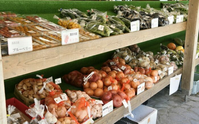 中野方町の特産品！ 旬の農産加工物セット 棚田米入り お米 野菜 詰め合わせ 恵那市 / なかのほう不動滝やさいの会 [AUCB001]