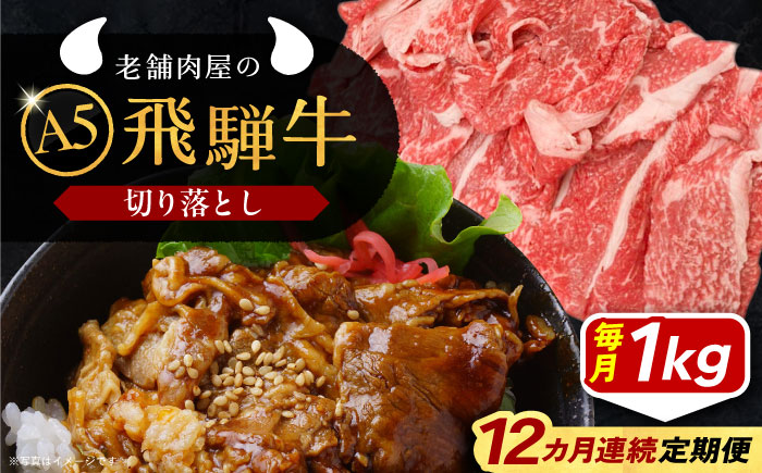 【12回定期便】 飛騨牛 切り落とし肉 A5ランク 1kg 和牛 国産 霜降り 恵那市 / 岩島屋 [AUAJ035]