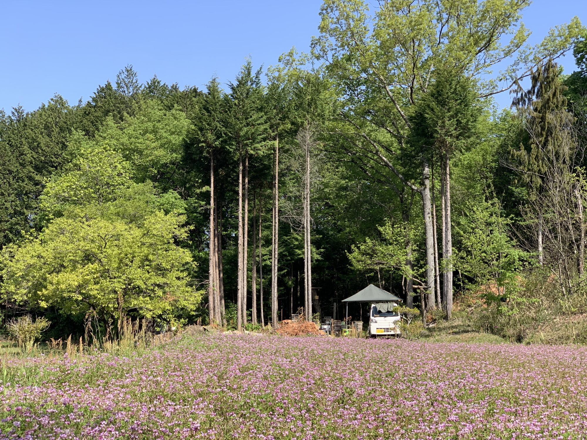 恵那蜂蜜 3本 ギフト箱入りセット (蓮華蜂蜜・百花蜂蜜・栗蜂蜜300g×各1本) 国産 はちみつ 岐阜 恵那市 / はち工房こうけつ [AUDF020]