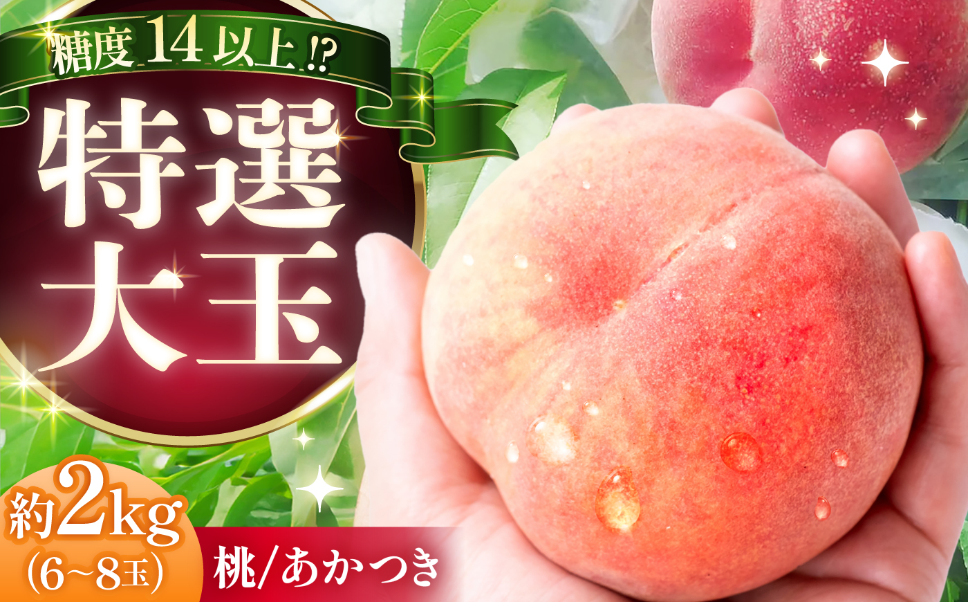 【先行予約 R8年7月下旬から8月下旬に順次発送】 桃 贈答用 特選 大玉 あかつき 2キロ（6～8玉入り）/ もも モモ くだもの 果物 ギフト 恵那市 / 馥郁農園 [AUCK008]