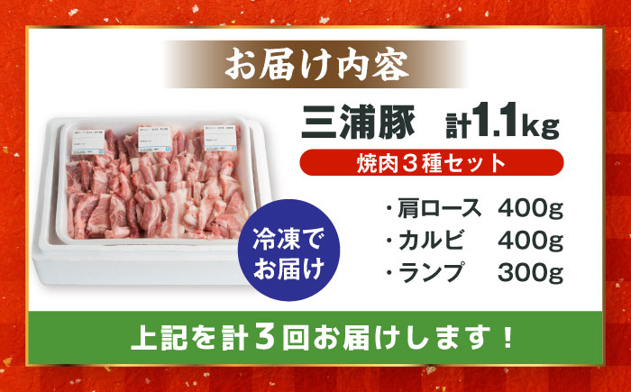 【3回定期便】 豪華 三浦豚 1.1kg 焼肉セット 肩ロース カルビ ランプ / ブランド豚 国産 ポーク 大容量 恵那市 / あづま精肉店 [AUDL018]