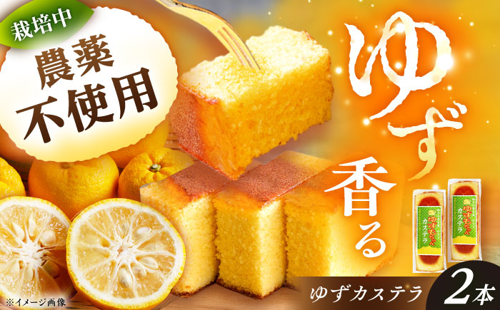 ゆずカステラ 2本 / カステラ かすていら 柚子 柚子カステラ ゆず / 恵那市 / かさぎゆず組合 [AUAW017]