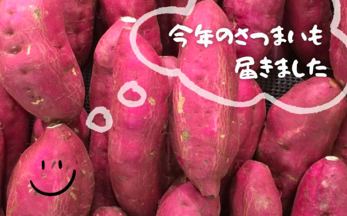恵那の和ぽてと5個 / スイートポテト いも さつまいも サツマイモ シナモン 焼菓子 和菓子 / 恵那市 / 良平堂 [AUDB026]