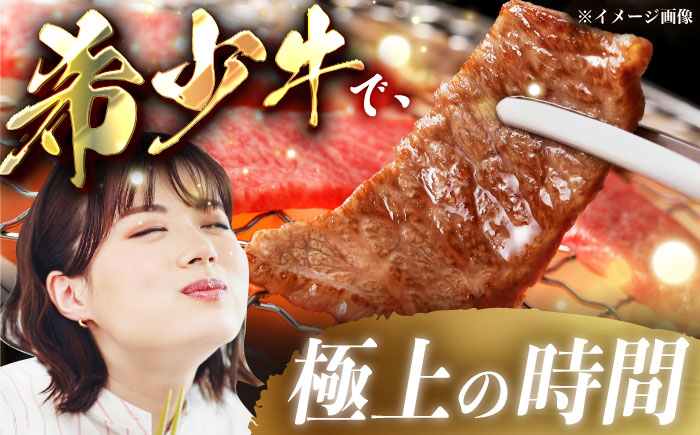 【先行予約】【2026年1月より順次発送】【チルド（冷蔵）発送！】 「飛騨牛」 A5等級 ロース 1kg / 牛肉 焼肉 鉄板焼き 網焼き BBQ / 恵那市 / 東美濃農業協同組合 [AUFX009]