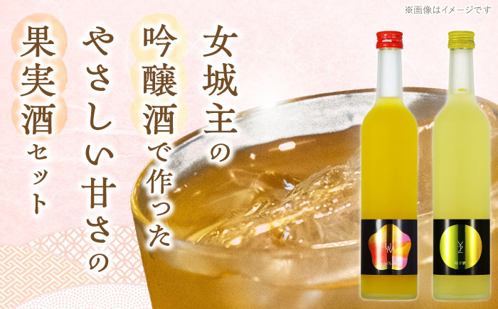 女城主 柚子酒と梅酒（各500ml）セット / 果実酒 ゆず酒 飲み比べ お酒 / 恵那市 / 岩村醸造 [AUAK001]