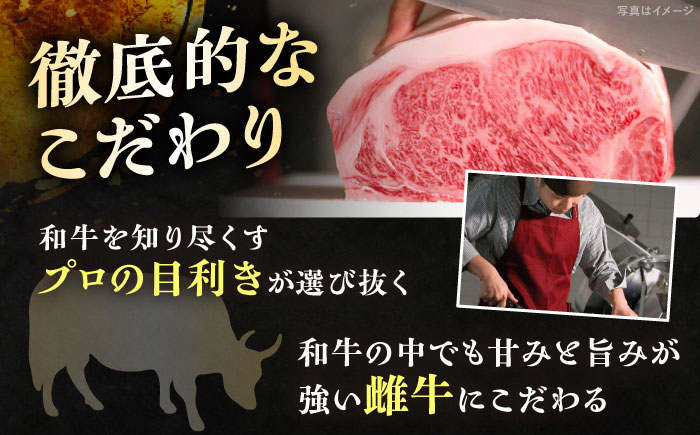 丸小本店 老舗肉屋厳選　行列のできるキッチントーキョーのビーフシチュー 1人前（250g）×4個セット / 惣菜 常備食 簡単調理 レトルト食品 / 恵那市 / テンポイント [AUFN027]