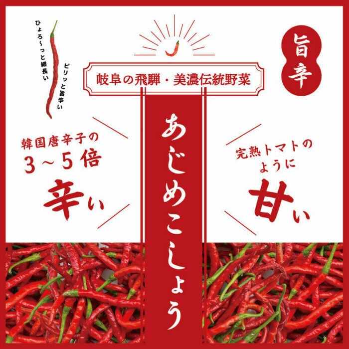 LGASIA （ルガシア）オリジナルスパイスAJIME 15g×3本 50g×3本?/ アウトドア キャンプ スパイス 調味料 / 恵那市 / ＭＡＣ [AUDM031]