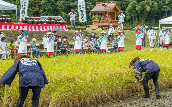 令和6年産 恵奈のあけぼの農林48号 精米 5kg お米 白米 岐阜県産 恵那市 / 恵奈の里 次米みのりまつり実行委員会 [AUDY002]