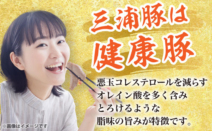 三浦豚 豚肉 ロース 薄切り 900g ブランド豚 国産 ポーク しゃぶしゃぶ 恵那市 / あづま精肉店 [AUDL004]