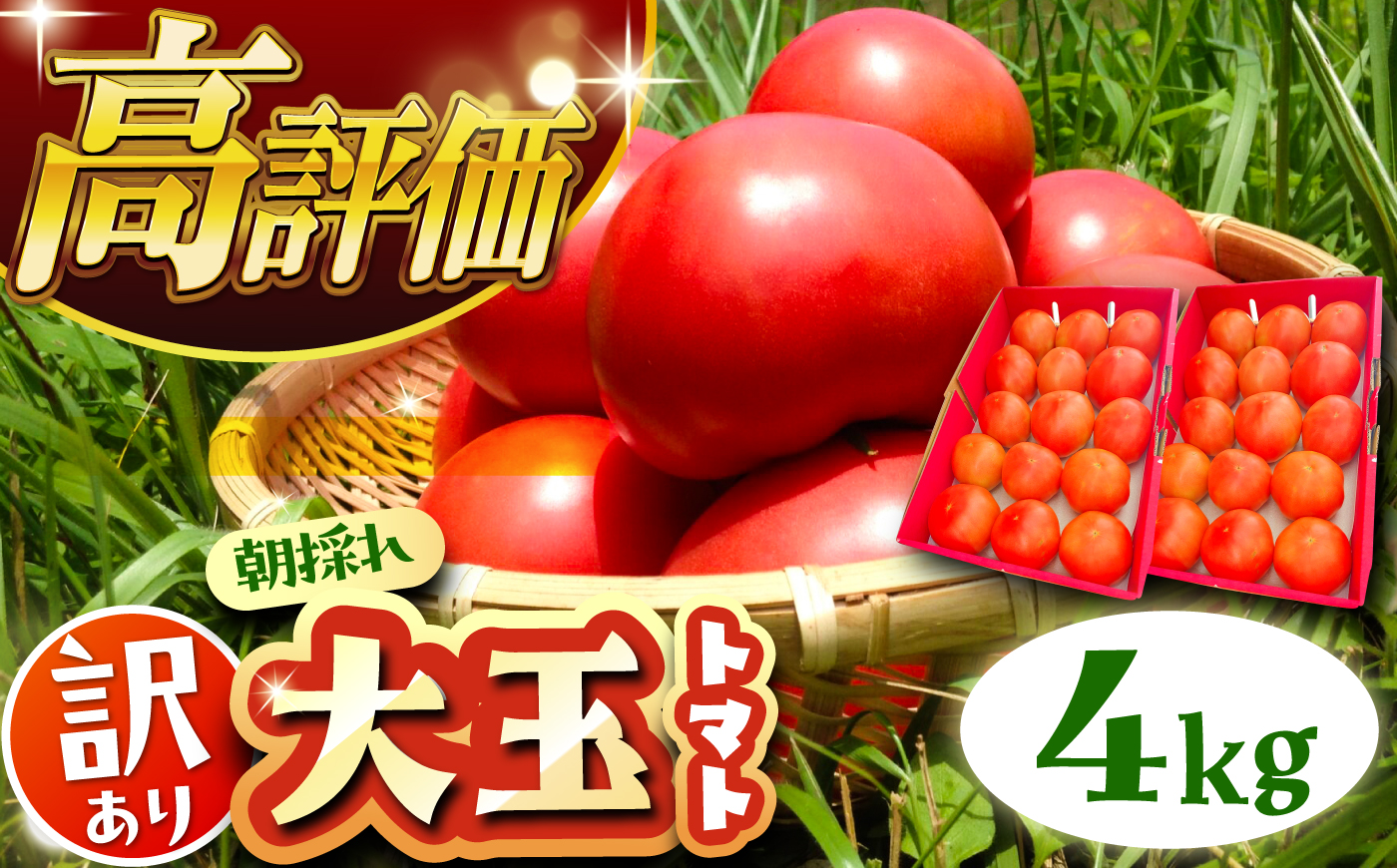 [2026年7月中旬から10月下旬に順次発送]訳あり大玉トマト4kg / 朝採り 甘い 桃太郎 とまと / 恵那市 / クリエイティブファーマーズ [AUAH016]
