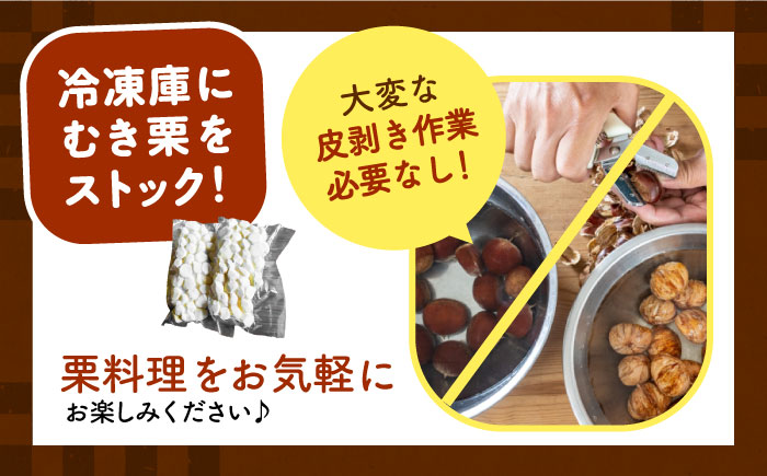 冷凍むき栗「日本栗」 計500g（250g×2P）/ 栗 くり 日本栗 むき栗 岐阜 恵那 / 恵那市 / えな笠置山栗園 [AUAV005]