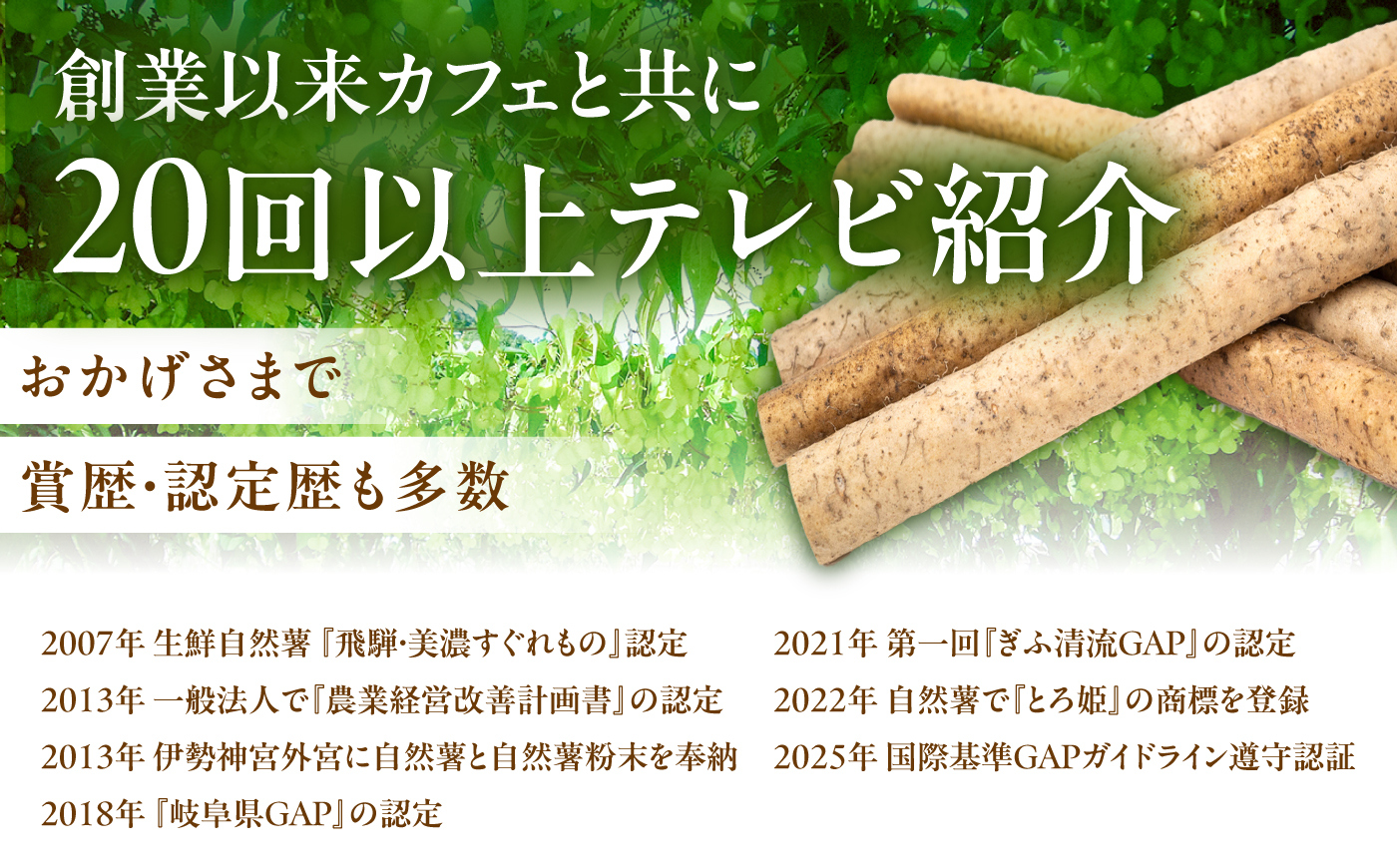 【伊勢神宮外宮奉納品】自然薯 小箱（180g）×3の詰合せ / 自然薯 じねんじょ とろろ / 恵那市 / 水戸屋 [AUFZ010]