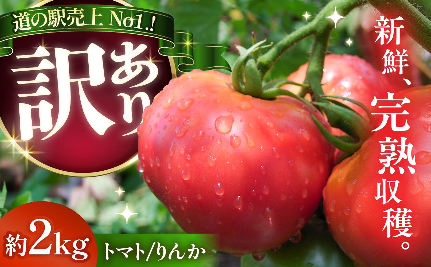 【訳あり】 トマト 約2キロ / とまと 野菜 果物 訳アリ 恵那市 / 馥郁農園 [AUCK013]