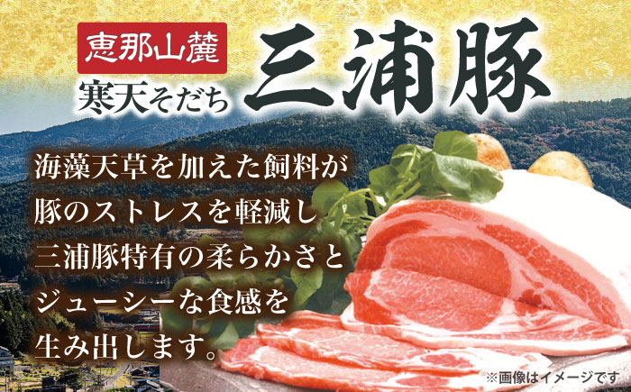 【6回定期便】 特盛三浦豚 1.6kg 豚肉セット / バラ ウデ モモ 国産 ポーク 大容量 / 恵那市 / あづま精肉店 [AUDL007]