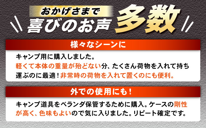 トランクカーゴ ブラック Lサイズ 1個 キャンプ ボックス 収納 アウトドア / 恵那市 / 東谷株式会社　明智流通センター [AUAD012]