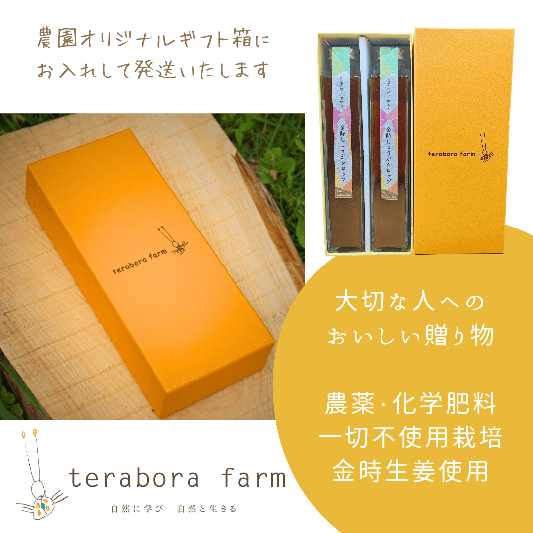 こだわり金時しょうがシロップ 200ml×2本 ギフトセット / しょうが ショウガ 生姜 ジンジャー 生姜シロップ ジンジャーシロップ / 恵那市 / てらぼら農園 [AUDZ001]