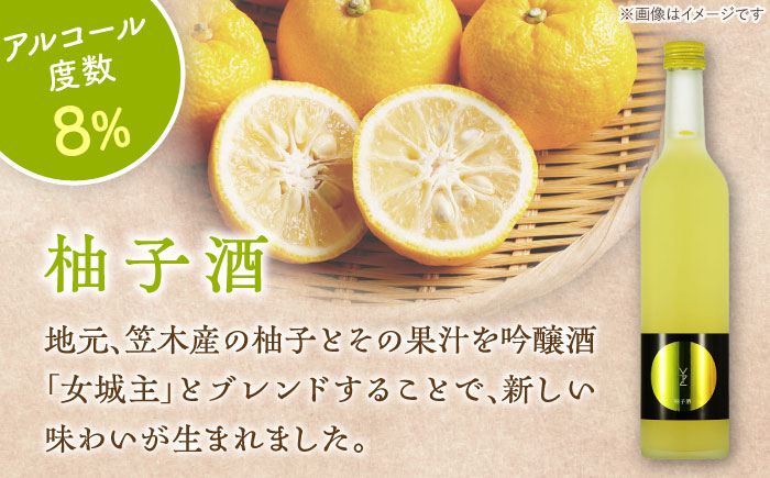 女城主 柚子酒と梅酒（各500ml）セット / 果実酒 ゆず酒 飲み比べ お酒 / 恵那市 / 岩村醸造 [AUAK001]