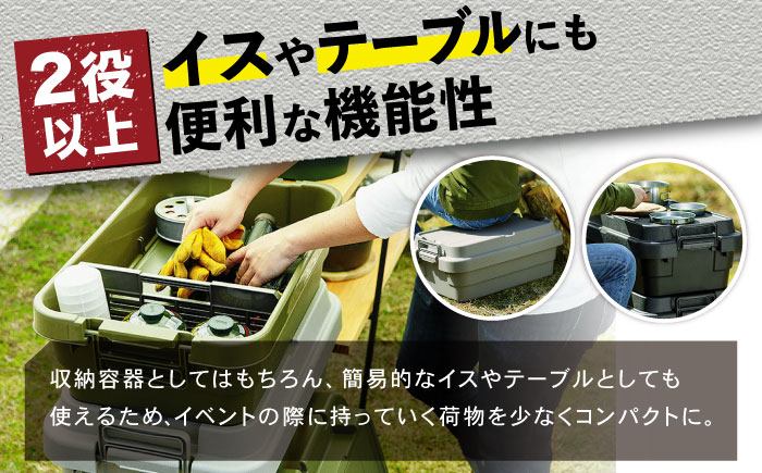トランクカーゴ 専用仕切り板セット グリーン ロウタイプ M1個 キャンプ ボックス 収納 アウトドア / 恵那市 / 東谷株式会社　明智流通センター [AUAD037]