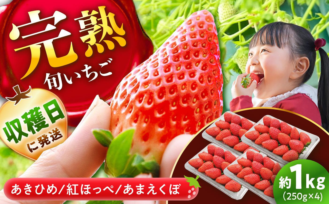 【先行予約・2027年1月上旬から順次発送】 いちご 250g×4パック / いちご 苺 イチゴ 国産 / 恵那市 / 阿部農園 [AUGA003]
