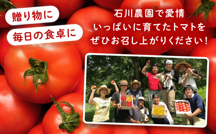 ＼受付終了間近！／【2025年7月中旬から10月下旬に順次発送】訳あり大玉トマト4kg / 朝採り 甘い 桃太郎 とまと / 恵那市 / クリエイティブファーマーズ [AUAH016]