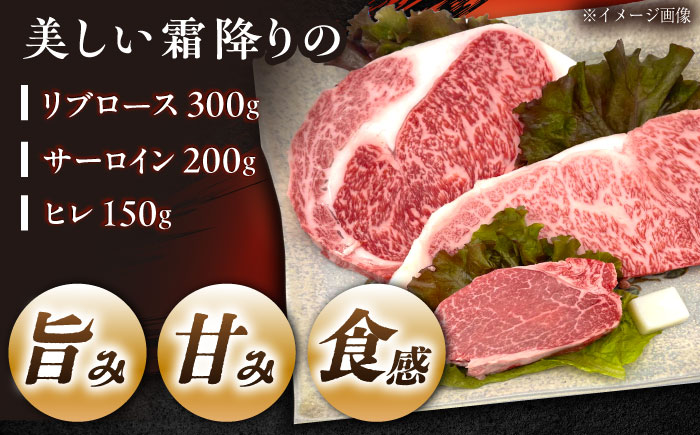 【チルド（冷蔵）発送！】「飛騨牛」 A5等級 ステーキ用3種盛り！ ヒレ・サーロイン・リブロース / 牛肉 焼肉 鉄板焼き 網焼き BBQ/ 恵那市 / 東美濃農業協同組合 [AUFX024]